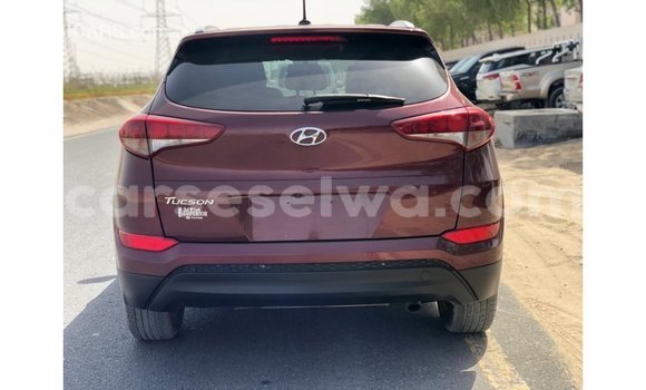 Buy Import Hyundai Tucson Red Car in Import - Dubai in East Mahé Buy Import Hyundai Tucson Red Car in Import - Dubai in East Mahé