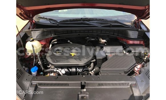 Buy Import Hyundai Tucson Red Car in Import - Dubai in East Mahé Buy Import Hyundai Tucson Red Car in Import - Dubai in East Mahé