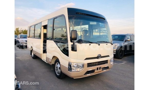 Buy Import Toyota Coaster White Car in Import - Dubai in East Mahé Buy Import Toyota Coaster White Car in Import - Dubai in East Mahé