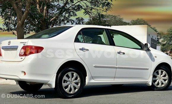Buy Import Toyota Corolla White Car in Import - Dubai in East Mahé Buy Import Toyota Corolla White Car in Import - Dubai in East Mahé