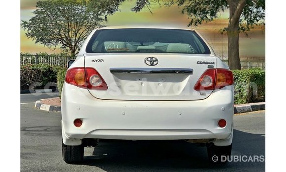 Buy Import Toyota Corolla White Car in Import - Dubai in East Mahé Buy Import Toyota Corolla White Car in Import - Dubai in East Mahé