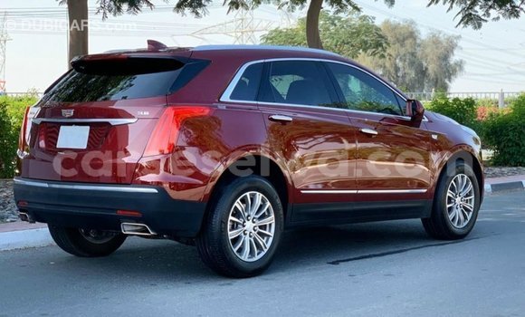Buy Import Cadillac XT5 Red Car in Import - Dubai in East Mahé Buy Import Cadillac XT5 Red Car in Import - Dubai in East Mahé