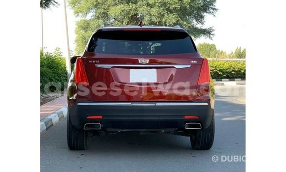 Buy Import Cadillac XT5 Red Car in Import - Dubai in East Mahé Buy Import Cadillac XT5 Red Car in Import - Dubai in East Mahé
