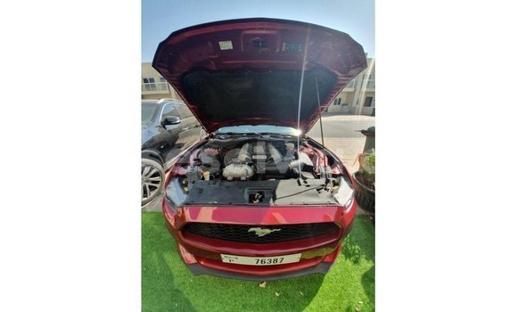 Buy Import Ford Mustang Red Car in Import - Dubai in East Mahé Buy Import Ford Mustang Red Car in Import - Dubai in East Mahé