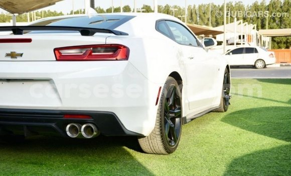 Buy Import Chevrolet Camaro White Car in Import - Dubai in East Mahé Buy Import Chevrolet Camaro White Car in Import - Dubai in East Mahé