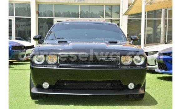Buy Import Dodge Challenger Black Car in Import - Dubai in East Mahé