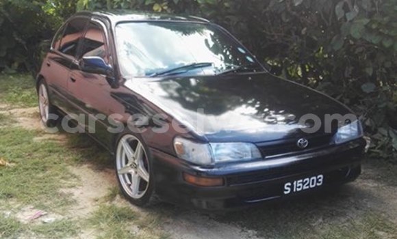 Buy Used Toyota Corolla Black Car in Beau Vallon in North Mahé Buy Used Toyota Corolla Black Car in Beau Vallon in North Mahé
