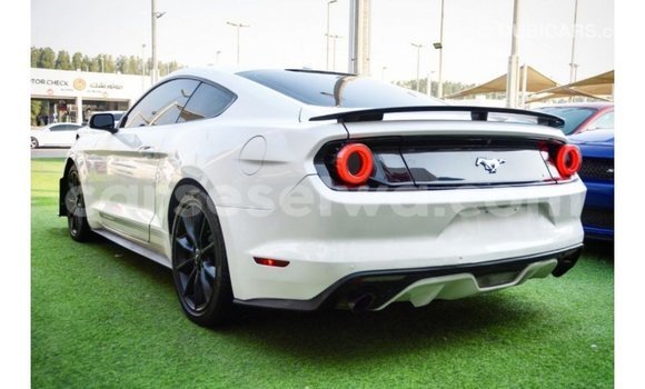 Buy Import Ford Mustang White Car in Import - Dubai in East Mahé Buy Import Ford Mustang White Car in Import - Dubai in East Mahé