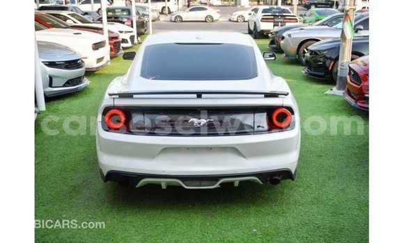 Buy Import Ford Mustang White Car in Import - Dubai in East Mahé Buy Import Ford Mustang White Car in Import - Dubai in East Mahé