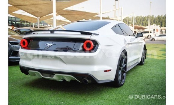 Buy Import Ford Mustang White Car in Import - Dubai in East Mahé Buy Import Ford Mustang White Car in Import - Dubai in East Mahé