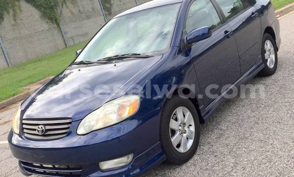 Acheter Occasion Voiture Toyota Corolla Bleu à Roche Caïman, Grand Victoria