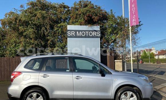 Buy Used Subaru Forester Other Car in Anse Aux Pins in East Mahé Buy Used Subaru Forester Other Car in Anse Aux Pins in East Mahé