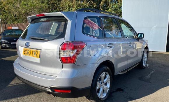 Buy Used Subaru Forester Other Car in Anse Aux Pins in East Mahé Buy Used Subaru Forester Other Car in Anse Aux Pins in East Mahé