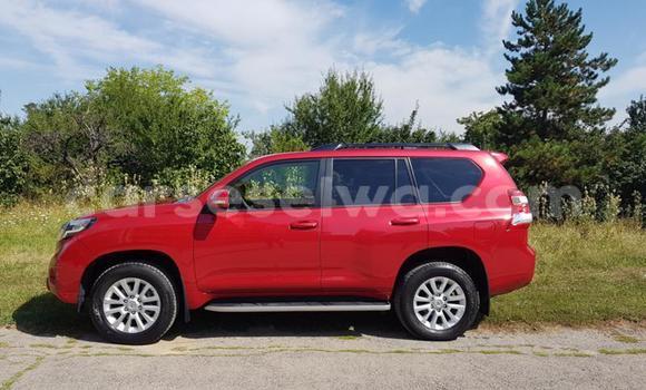 Buy Used Toyota Land Cruiser Prado Other Car in Anse Aux Pins in East Mahé Buy Used Toyota Land Cruiser Prado Other Car in Anse Aux Pins in East Mahé