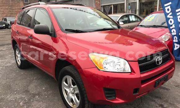 Acheter Occasion Voiture Toyota RAV4 Rouge à Anse Boileau, West Mahé