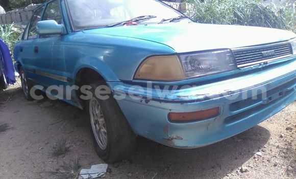 Acheter Occasion Voiture Toyota Corolla Bleu à Cascade, Cascade