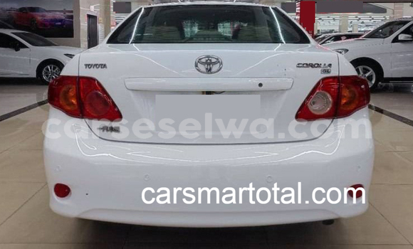 Buy Used Toyota Corolla White Car in Les Mamelles in Greater Victoria Buy Used Toyota Corolla White Car in Les Mamelles in Greater Victoria