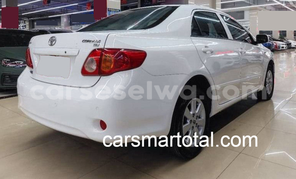Buy Used Toyota Corolla White Car in Les Mamelles in Greater Victoria Buy Used Toyota Corolla White Car in Les Mamelles in Greater Victoria