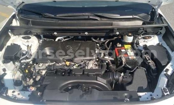 Buy Used Toyota RAV4 White Car in Baie Lazare in South Mahé Buy Used Toyota RAV4 White Car in Baie Lazare in South Mahé
