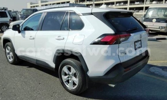 Buy Used Toyota RAV4 White Car in Baie Lazare in South Mahé Buy Used Toyota RAV4 White Car in Baie Lazare in South Mahé