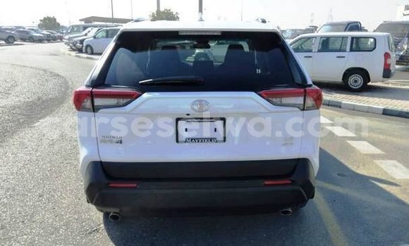 Buy Used Toyota RAV4 White Car in Baie Lazare in South Mahé Buy Used Toyota RAV4 White Car in Baie Lazare in South Mahé