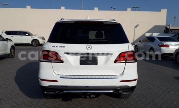 Buy Used Mercedes‒Benz GLE White Car in Bel Air in Greater Victoria Buy Used Mercedes‒Benz GLE White Car in Bel Air in Greater Victoria