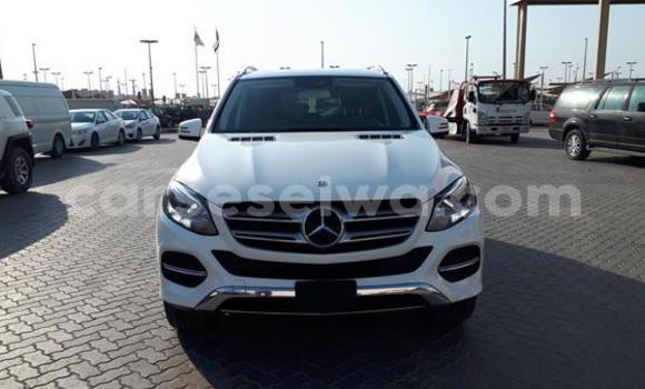 Acheter Occasion Voiture Mercedes‒Benz GLE Blanc à Cascade, Cascade