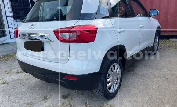 Buy Used Toyota Urban Cruiser White Car in Anse Aux Pins in East Mahé