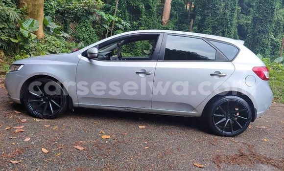 Buy Used Kia Cerato Other Car in Anse Royale in South Mahé