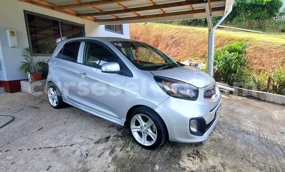 Buy Used Kia Picanto Other Car in Anse Royale in South Mahé Buy Used Kia Picanto Other Car in Anse Royale in South Mahé