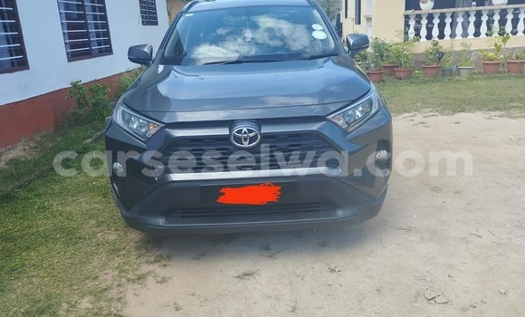 Buy Used Toyota RAV4 Other Car in Anse Aux Pins in East Mahé Buy Used Toyota RAV4 Other Car in Anse Aux Pins in East Mahé