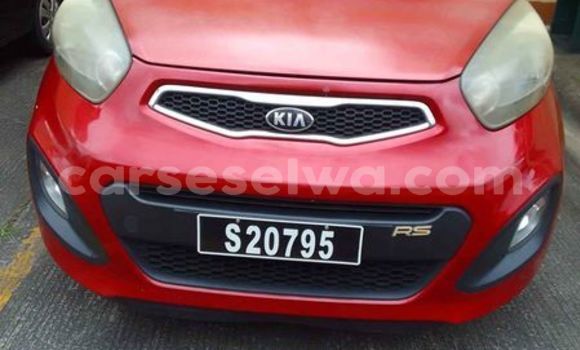 Buy Used Kia Picanto Other Car in Anse Boileau in West Mahé Buy Used Kia Picanto Other Car in Anse Boileau in West Mahé