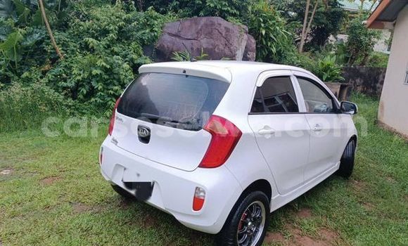 Buy Used Kia Picanto Other Car in Anse Etoile in North Mahé Buy Used Kia Picanto Other Car in Anse Etoile in North Mahé