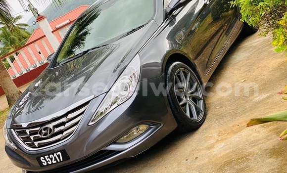 Acheter Occasion Voiture Hyundai Sonata Autre à Anse Royale, South Mahé
