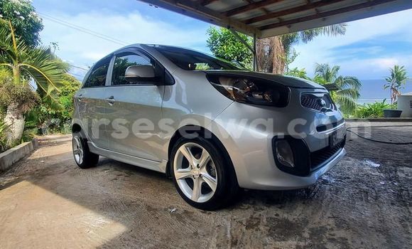 Buy Used Kia Picanto White Car in Anse Royale in South Mahé Buy Used Kia Picanto White Car in Anse Royale in South Mahé