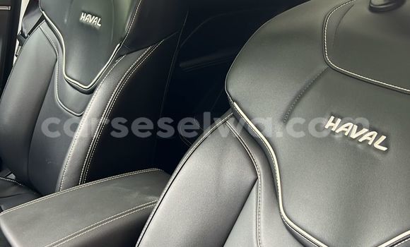 Buy Used Haval Jolion White Car in Mahe in Victoria Buy Used Haval Jolion White Car in Mahe in Victoria