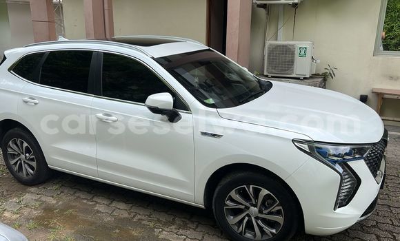 Buy Used Haval Jolion White Car in Mahe in Victoria Buy Used Haval Jolion White Car in Mahe in Victoria