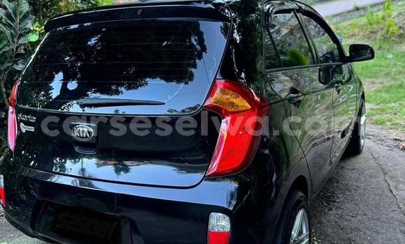 Acheter Occasion Voiture Kia Picanto Noir à bel Air, Grand Victoria Acheter Occasion Voiture Kia Picanto Noir à bel Air, Grand Victoria