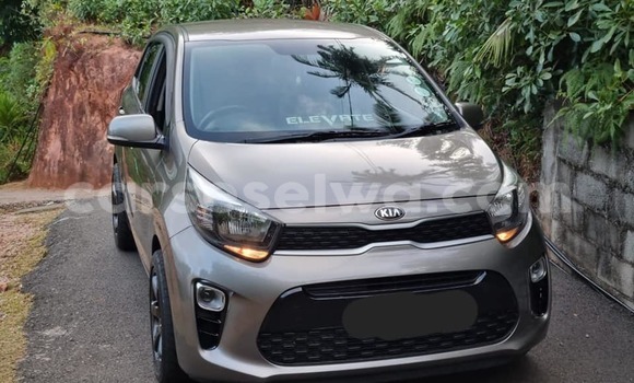 Acheter Occasion Voiture Kia Picanto Autre à Beau Vallon, Nord Mahé Acheter Occasion Voiture Kia Picanto Autre à Beau Vallon, Nord Mahé