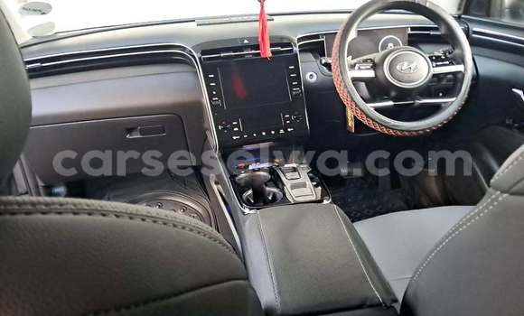 Buy Used Hyundai Tucson Other Car in Bel Air in Greater Victoria Buy Used Hyundai Tucson Other Car in Bel Air in Greater Victoria