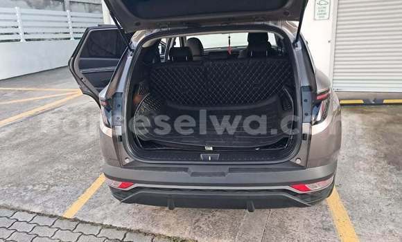 Buy Used Hyundai Tucson Other Car in Bel Air in Greater Victoria Buy Used Hyundai Tucson Other Car in Bel Air in Greater Victoria