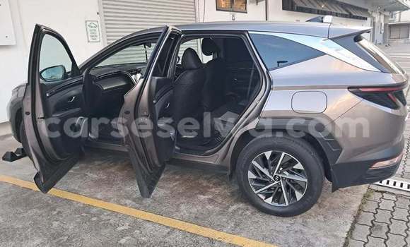 Buy Used Hyundai Tucson Other Car in Bel Air in Greater Victoria Buy Used Hyundai Tucson Other Car in Bel Air in Greater Victoria