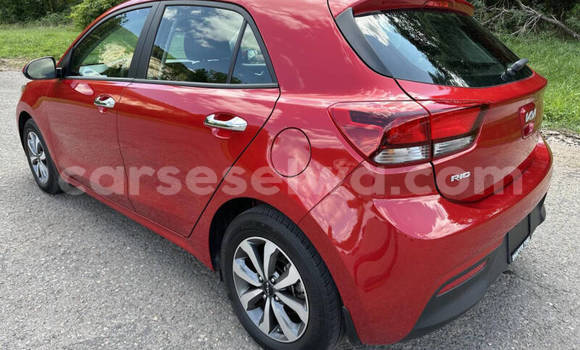 Buy Used Kia Rio Red Car in Coëtivy in Outer Islands Buy Used Kia Rio Red Car in Coëtivy in Outer Islands
