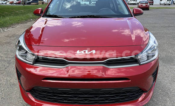 Buy Used Kia Rio Red Car in Coëtivy in Outer Islands Buy Used Kia Rio Red Car in Coëtivy in Outer Islands