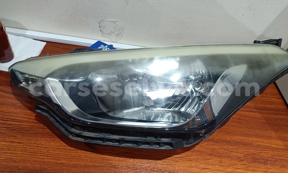 Medium with watermark img20250812212830