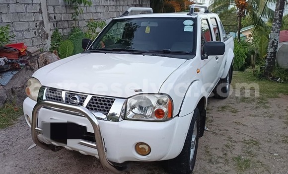 Acheter Occasion Voiture Nissan Hardbody Blanc à Mahé, Victoria