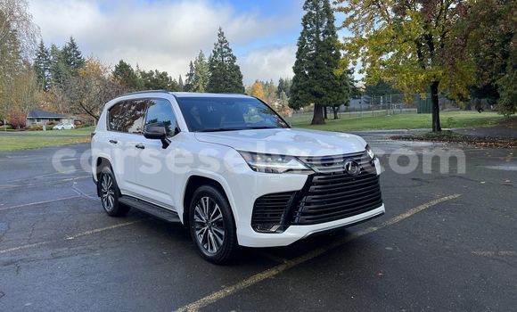 Buy Used Lexus LX White Car in La Plaine St. André? in East Mahé