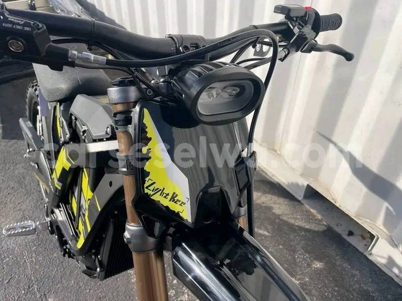 Big with watermark light bee x 2025 new one 12