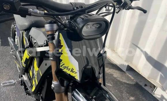 Medium with watermark light bee x 2025 new one 12