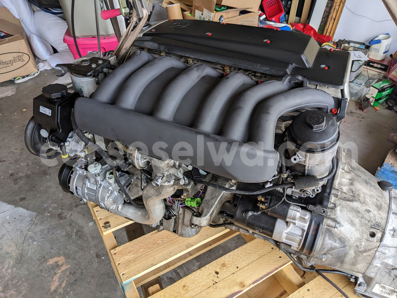 Big with watermark b